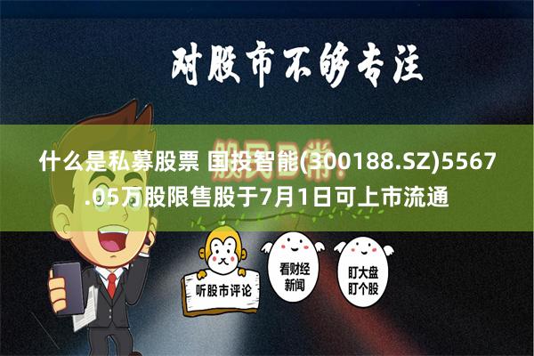 什么是私募股票 国投智能(300188.SZ)5567.05万股限售股于7月1日可上市流通