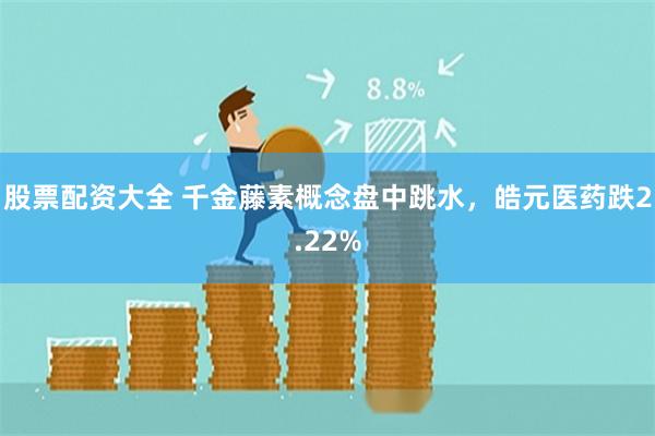 股票配资大全 千金藤素概念盘中跳水，皓元医药跌2.22%