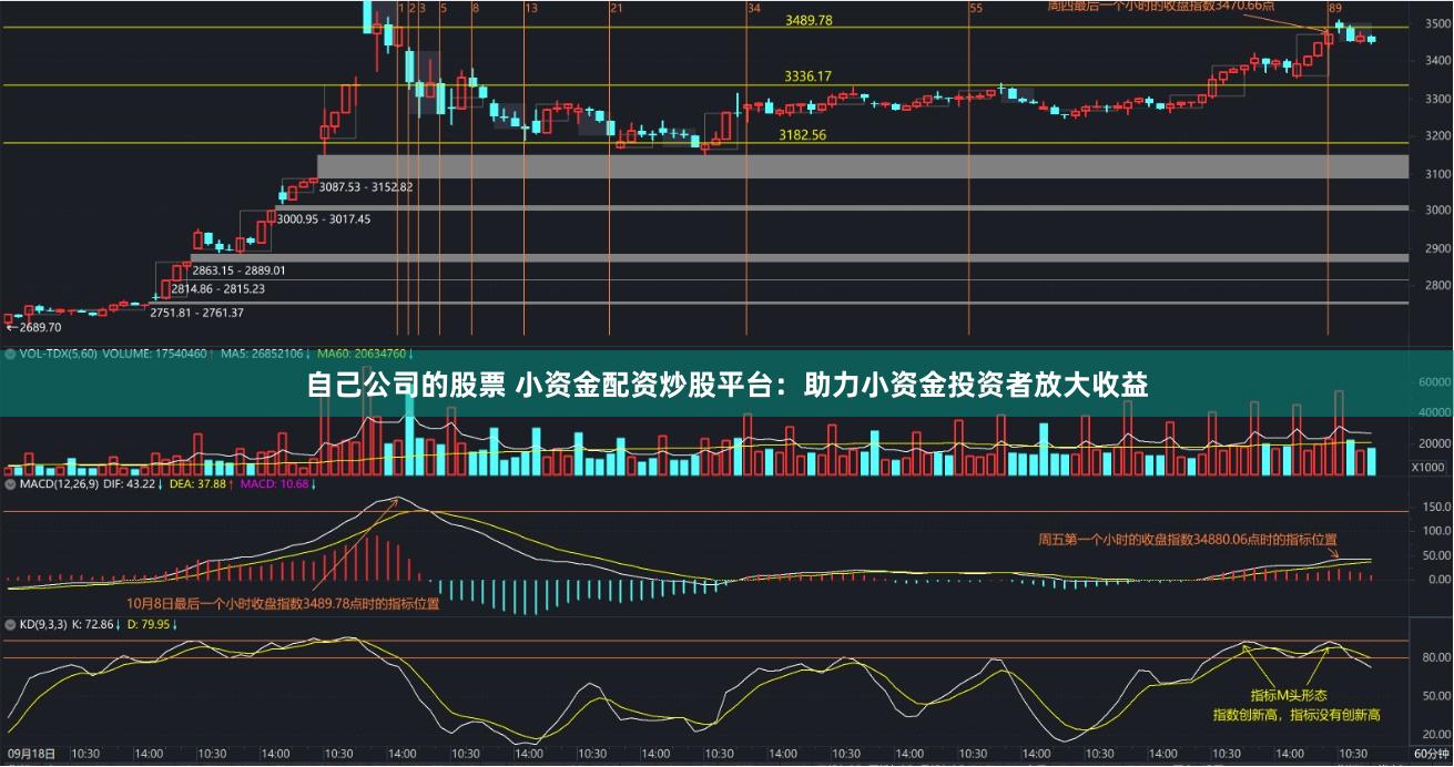 自己公司的股票 小资金配资炒股平台：助力小资金投资者放大收益