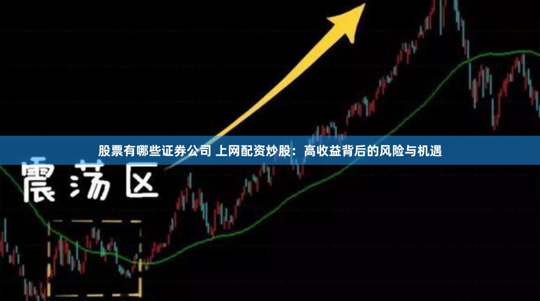 股票有哪些证券公司 上网配资炒股:高收益背后的风险与机遇