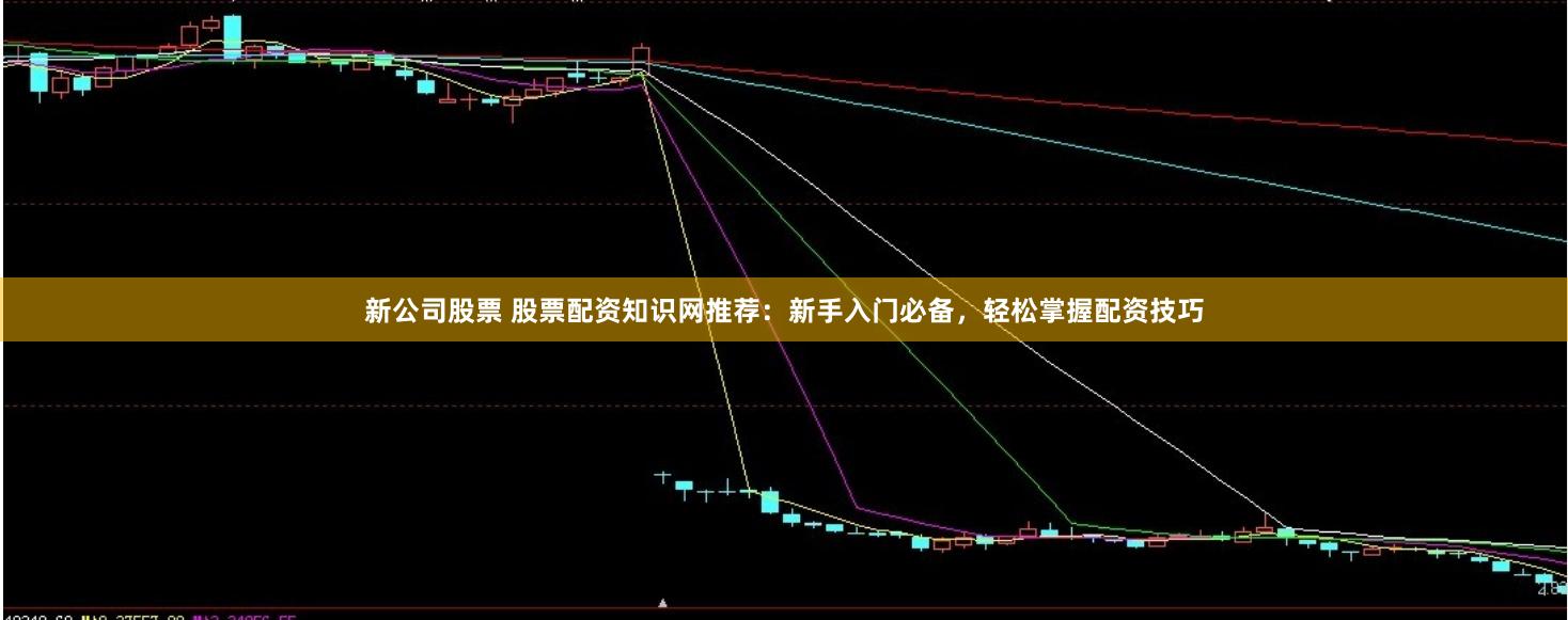 新公司股票 股票配资知识网推荐：新手入门必备，轻松掌握配资技巧
