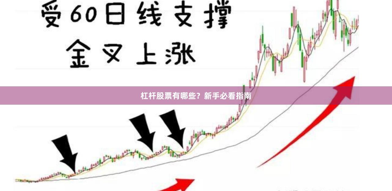杠杆股票有哪些？新手必看指南