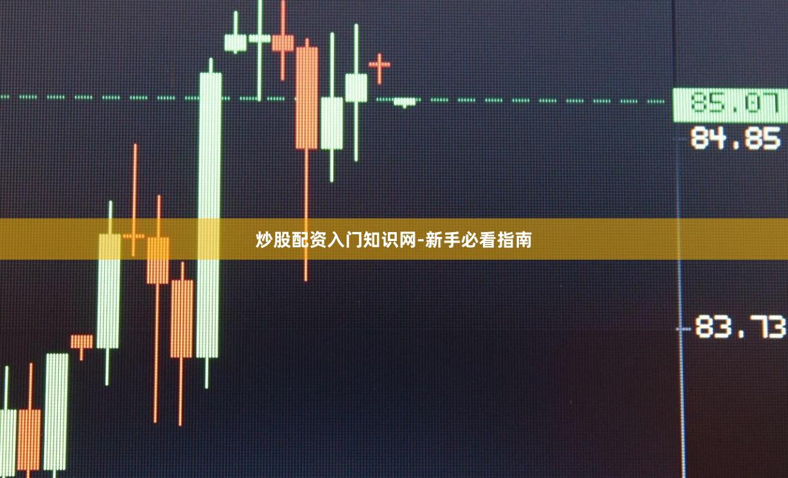 炒股配资入门知识网-新手必看指南